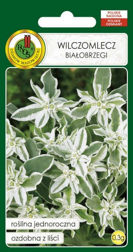 Nasiona PNOS - nasiona Kwiatów - wilczomlecz bialobrzegi