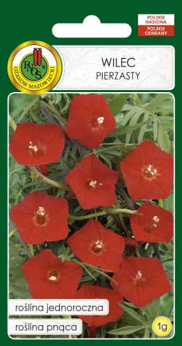 Nasiona PNOS - Nasiona Kwiatów - Wilec pierzasty czerwony 1g