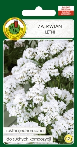 Nasiona PNOS - Nasiona Kwiatów - Zartwian letni bialy