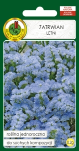 Nasiona PNOS - Nasiona Kwiatów - Zatrwian Letni.jpg