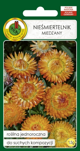 Nasiona PNOS - Nasiona Kwiatów - Niesmiertelnik zolty.jpg