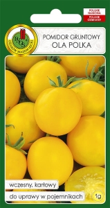 Nasiona pomidorów PNOS-Pomidor gruntowy Ola Polka 1g