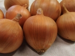 Cebula Amfora F1 (2,0-2,7) 250 000z