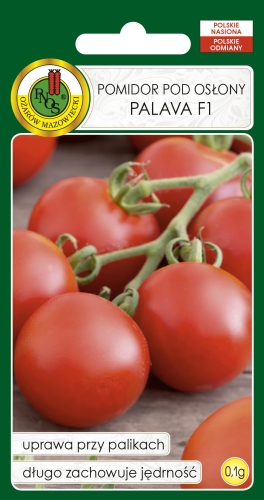 Nasiona warzyw PNOS-Nasiona pomidorów-Pomidor pod osłony Palava F1 0,1g