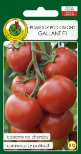 Nasiona warzyw PNOS-Nasiona pomidorów-Pomidor pod osłony Gallant 0,1g