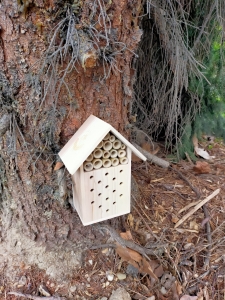 Hotel dla owadów PNOS