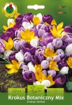 Krokus (Crocus) botaniczny mix 10szt.