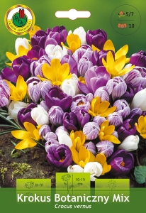 Krokus (Crocus) botaniczny mix 10szt.