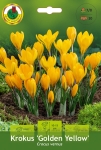 Krokus (Crocus) Golden Yellow 10szt.