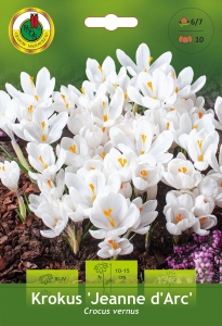 Krokus (Crocus) Jeanne D'Arc 10szt.