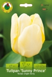 Tulipan (Tulipa) Sunny Prince 5szt.
