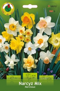 Narcyz (Narcissus) Mix 3szt.