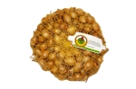 Cebula dymka zimująca  SENSHYU YELLOW (10-21mm) 500g