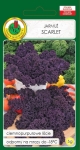 Jarmuż czerwony Scarlet 5g 