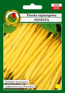 Nasiona fasoli - nasiona fasoli szparagowej