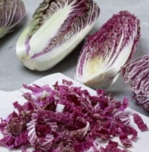 Kapusta pekińska Scarvita F1 czerwone liście