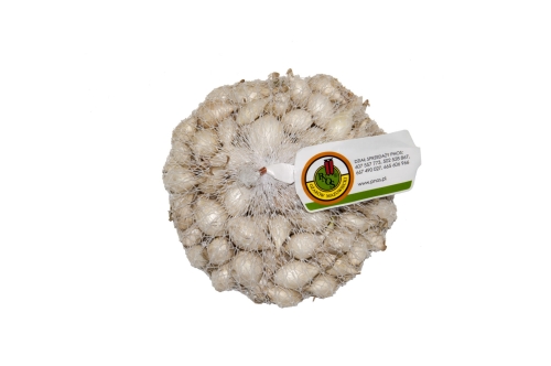 Cebula dymka PNOS biała White Globe 250g