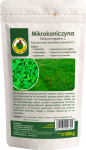 Mikrokoniczyna biała drobnolistna Abercrest 500g