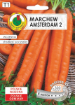 Marchew jadalna Amsterdam 3 6m