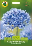Czosnek ozdobny (Allium) Caeruleum 10szt.