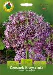 Czosnek ozdobny (Allium) Christophii 2szt.