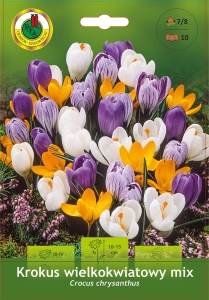 Krokus (Crocus) Wielkokwiatowy Mix 10szt.