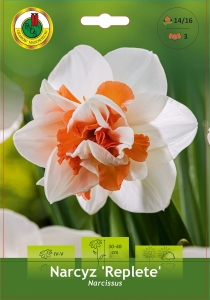 Narcyz (Narcissus) Replete 3szt.