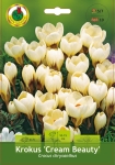 Krokus (Crocus) Cream Beauty 10szt.