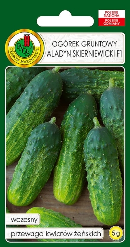 Nasiona  warzyw PNOS-Nasiona ogórka-ogórek Aladyn Skierniewicki