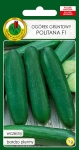 Ogórek gruntowy Politana F1 1g