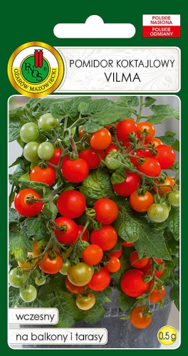 Nasiona warzyw PNOS-Nasiona pomidorów-Pomidor doniczkowy Vilma