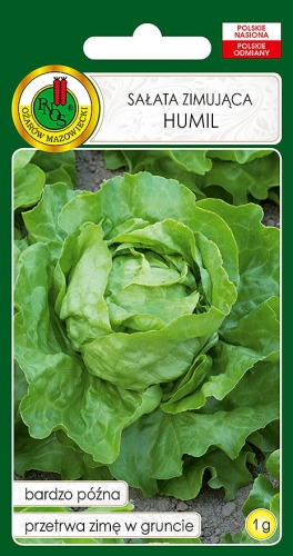 Nasiona warzy PNOS - Sałata masłowa zimująca Humil 1g