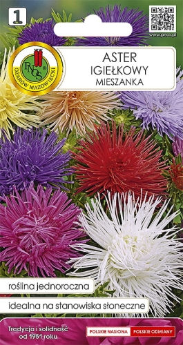 Aster igiełkowy mieszany 1,25g nasiona kwiatów