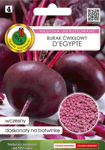 Burak ćwikłowy D'Egypte Inkrust. 10g. nasiona warzyw