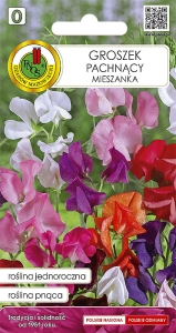 Groszek pachnący mieszany 3g nasiona kwiatów