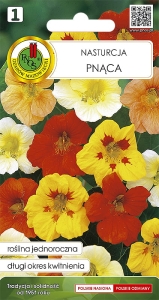 Nasturcja pnąca mieszana 3g nasiona kwiatów
