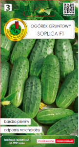 Ogórek gruntowy Soplica F1 2g nasiona warzyw