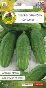 Ogórek gruntowy Śremski F1 2g nasiona warzyw
