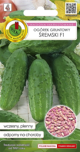 Ogórek gruntowy Śremski F1 inkrust. 2g nasiona warzyw