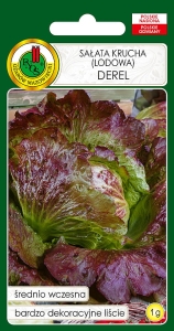 Nasiona PNOS_ nasiona sałaty