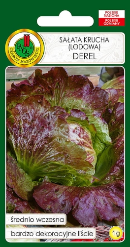 Nasiona PNOS_ nasiona sałaty