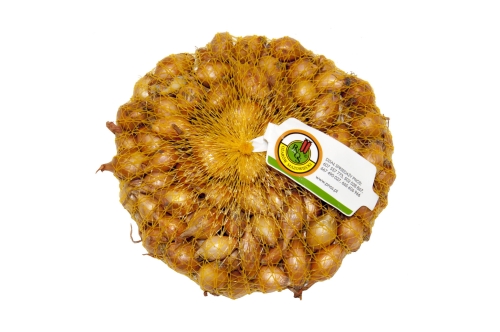 Cebula dymka żółta Efekt, wybór II opakowanie 500g