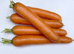 Nasiona profesjonalne-Nasiona marchwi-Marchew Bengala