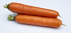 Marchew Caravel F1 (1,6-1,8) 100 000n (zapraw.)