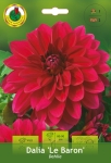 Dalia Dekoracyjna Le Baron 1szt.