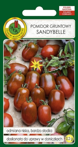 Nasiona warzyw PNOS-nasiona pomidorów-Pomidor koktajlowy Sandybelle 0,2g