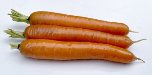 Marchew Caravel F1 (1,8-2,0) 100 000n  (zapraw.)