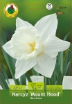 Narcyz (Narcissus) Mount Hood 3 szt.