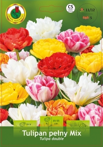 Tulipan (Tulipa) Pełny Mix 5 szt.