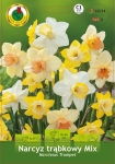 Narcyz (Narcissus) trąbkowy Mix 3 szt.